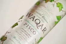 Pisco Waqar