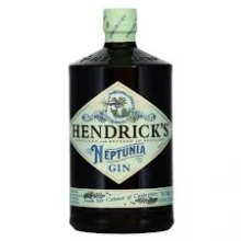 Hendricks Neptunia